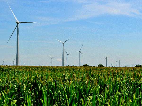 Wind Farm In Northern Illinois
