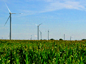 Wind Farm In Northern Illinois