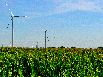 Wind Farm In Northern Illinois