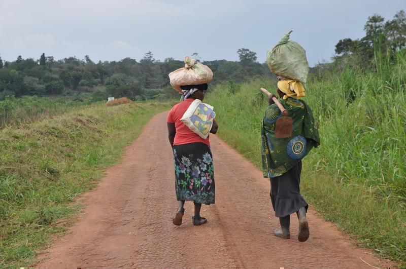 Two women walk home after a day of work at Uganda's National Agricultural Research Organisation in Namulonge.