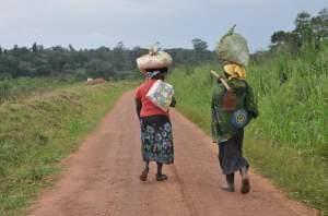 Two women walk home after a day of work at Uganda's National Agricultural Research Organisation in Namulonge. 