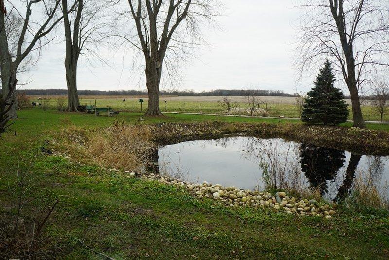A pond behind Kathi and Jerry Jurkowski's home in Rockton. 