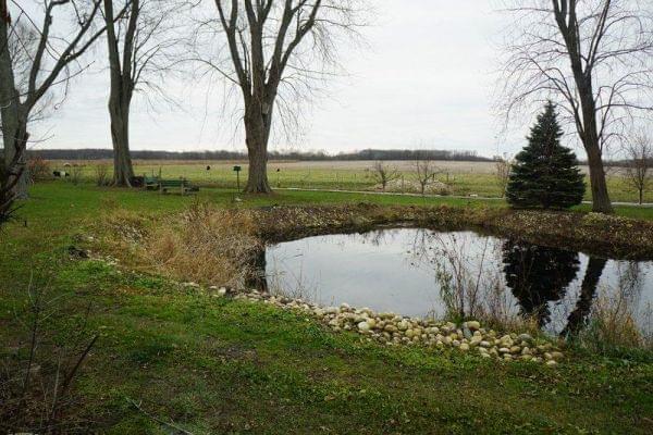 A pond behind Kathi and Jerry Jurkowski's home in Rockton. 