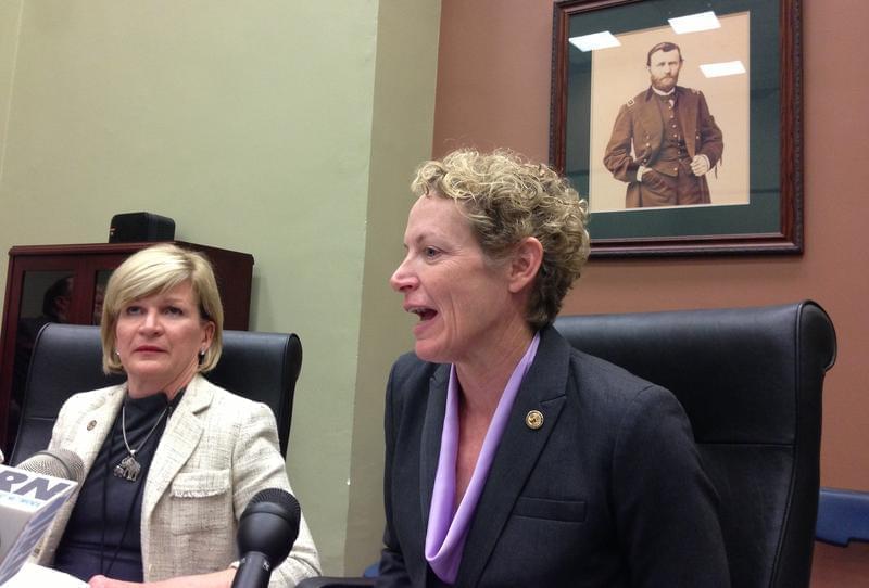 Rep. Elaine Nekritz, right, is seen with now-former Rep. Darlene Senger in this file photo.