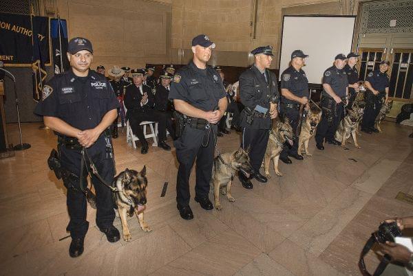 Police officers and K-9 Officers in New York City.