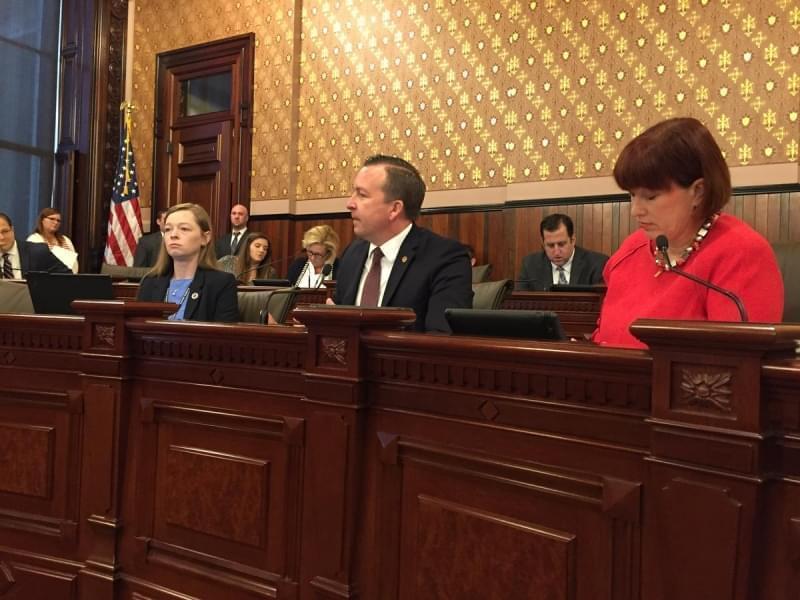 Sens. Andy Manar, D-Bunker Hill, and Heather Steans, D-Chicago, introducing the new budget proposal in a Senate hearing.
