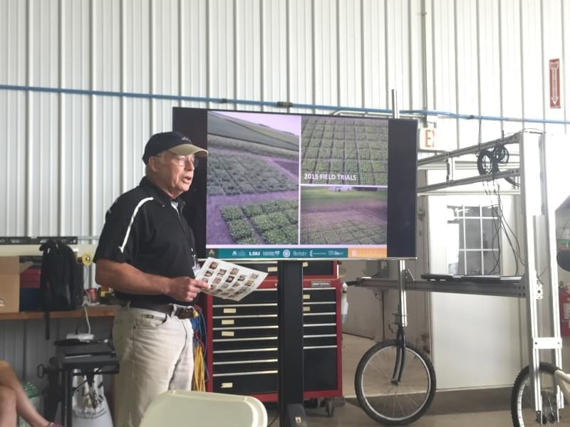 RIPE Project Associate Director Don Ort discusses field trials.