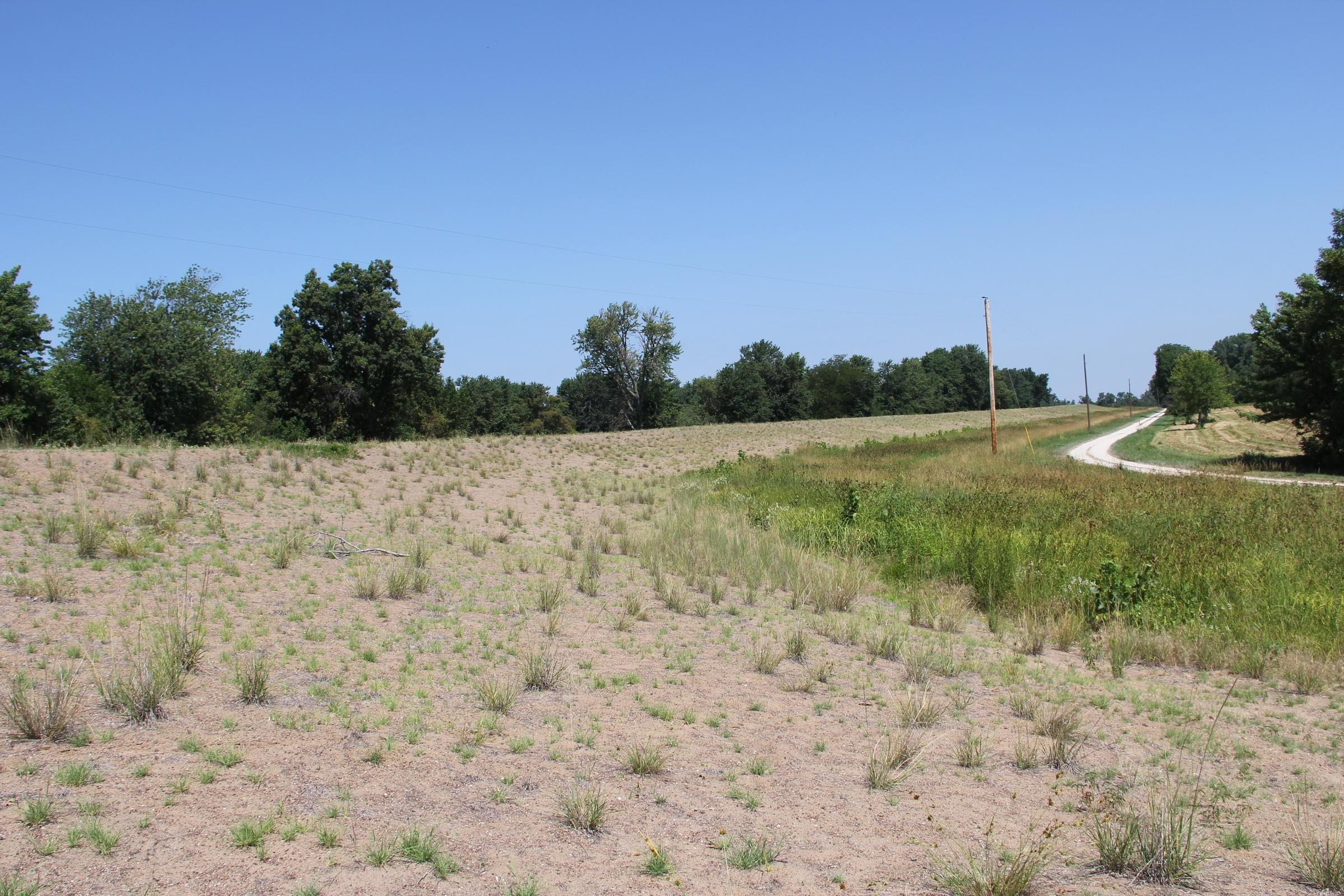 The Sny Island Levee System in Illinois is one of 10 levee systems that have exceeded their authorized heights, according to a survey conducted by the Army Corps of Engineers' Rock Island District this year.