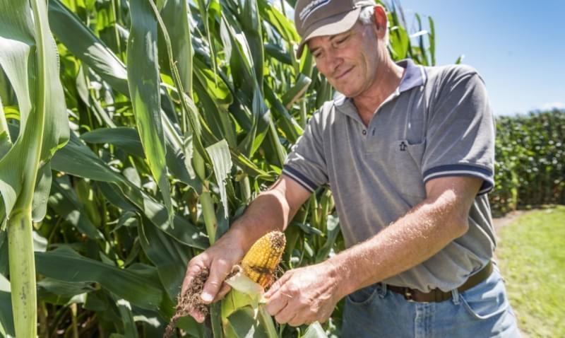 Farmer Paul Jeschke holds an ear of corn on his farm near Mazon, Ill.