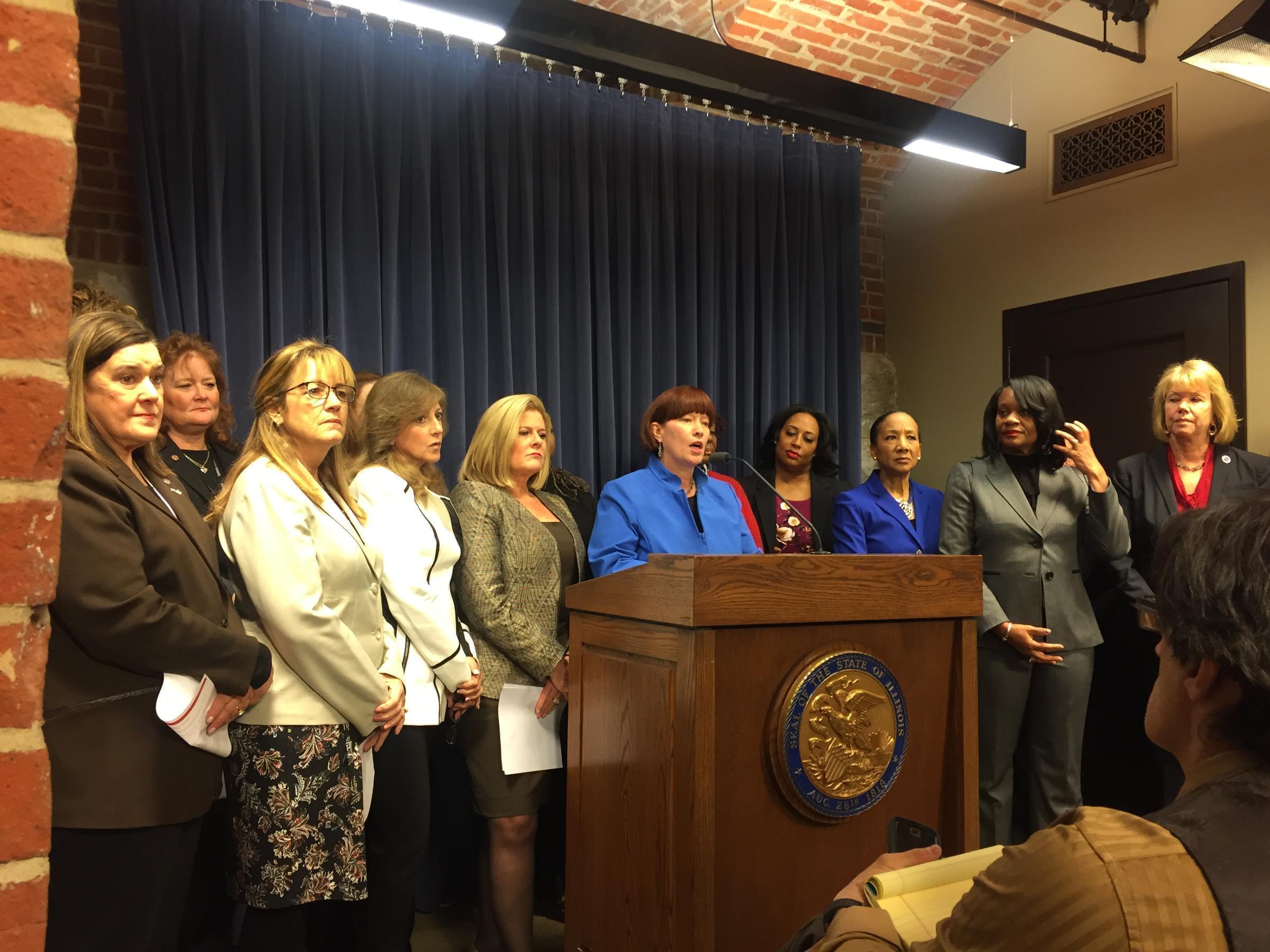 Female State Senators at Press Conference Announcing Creation of Women's Caucus.