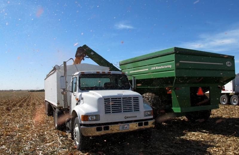 In central Nebraska, a combine unloads harvested corn into a truck. For many farmers, the cost of growing a field of corn remains higher than the amount they can make from it.