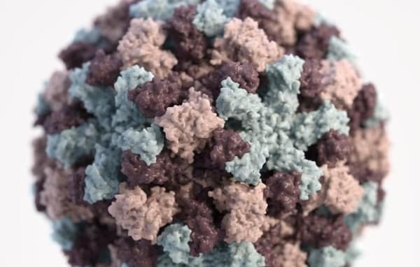 A 3-D graphical representation of a single norovirus virion.