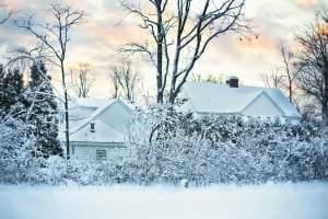 A snowy scene showing a house and row of trees.