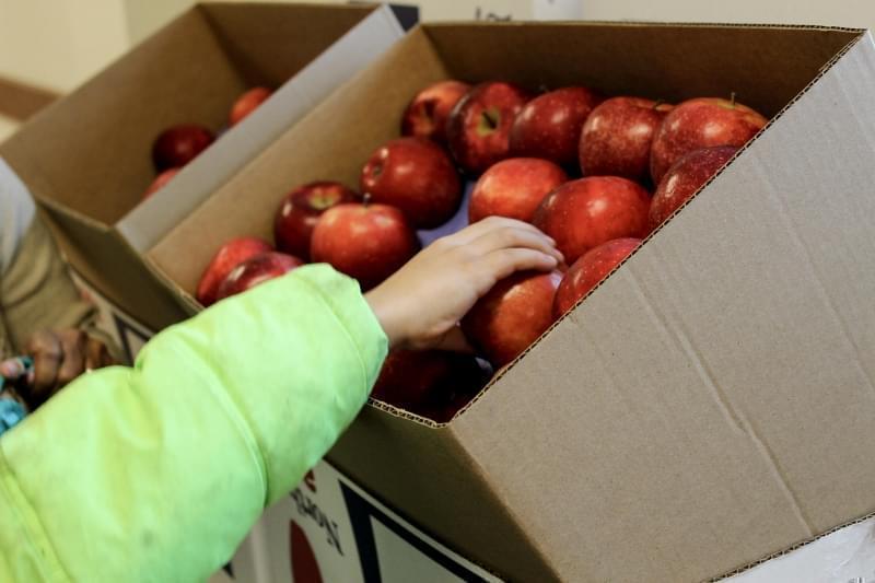 Diane Doherty, executive director of the Illinois Hunger Coalition, says cutting back on benefits like food stamps, can increase food insecurity for many in the state. 