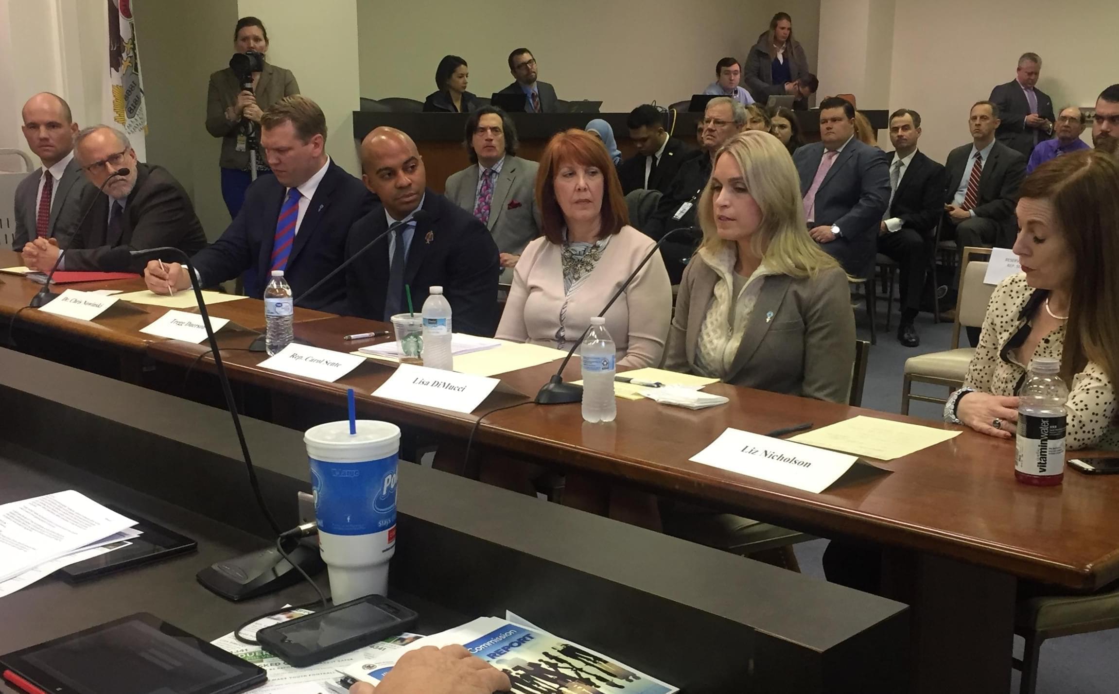 Proponents of HB4341 testify at a hearing held by the Illinois House Mental Health Committee in Springfield on Thursday..