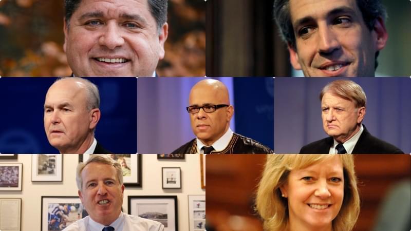 Pictures of the six Democrats and one Republican running to unseat incumbent Gov. Bruce Rauner