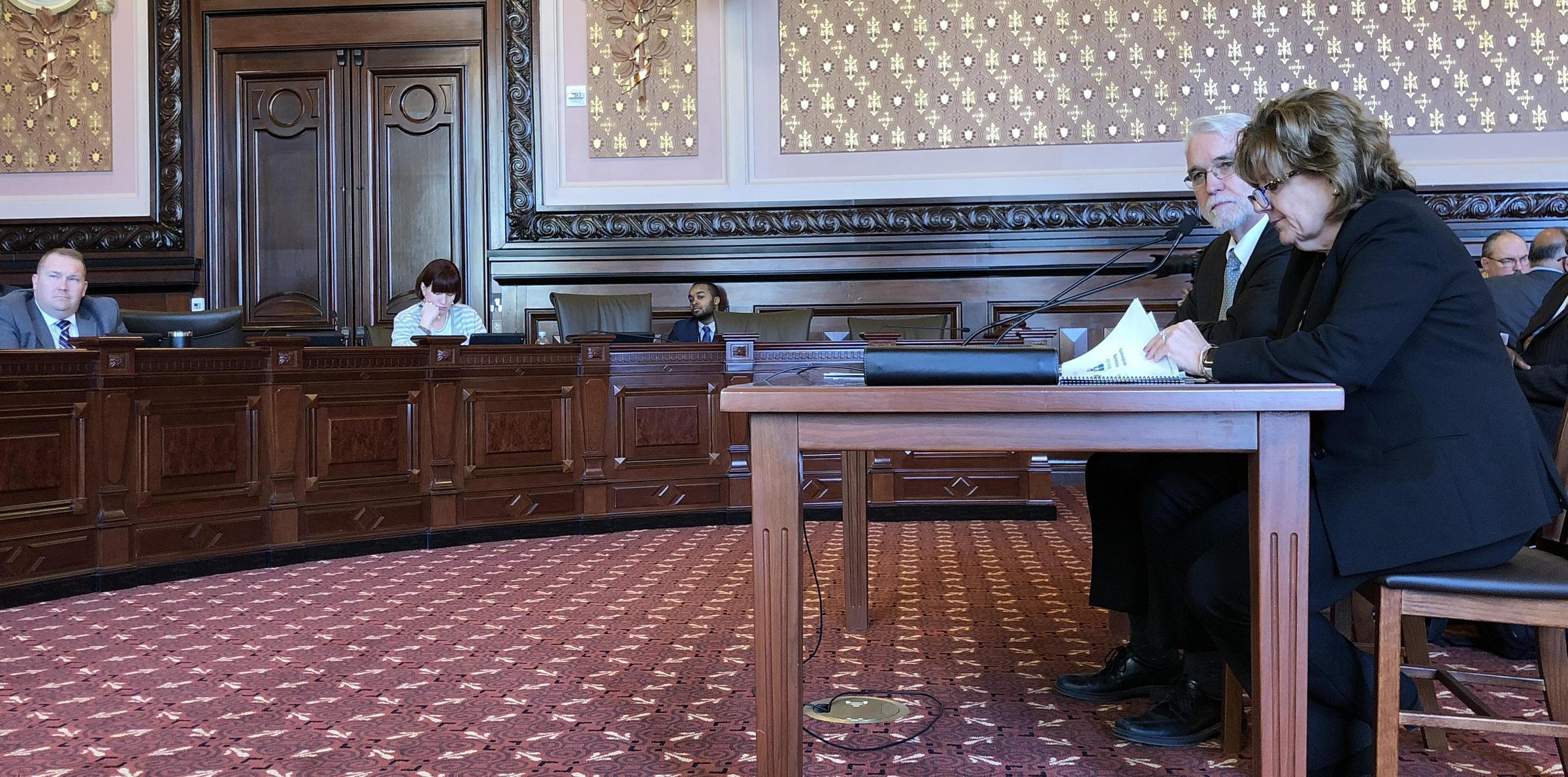Tim Killeen and Barbara Wilson, respectively the president and executive vice president of the University of Illinois system, spoke with members of a Senate Appropriations Committee Thursday in the state Capitol.