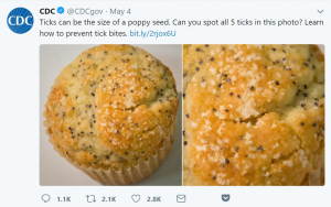 The Centers For Disease Control and Prevention recently tweeted out a photo of a poppy seed muffin--five seeds of which are actually ticks--to promote awareness about tick bite prevention. Marilyn O'Hara Ruiz references the picture to illustrate