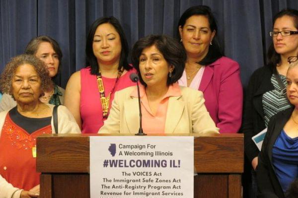 State Rep. Lisa Hernandez (D, Cicero), flanked by other Illinois House lawmakers and advocates, addresses the media on May 22.