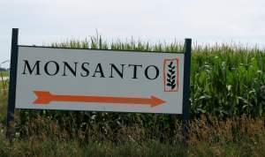A Monsanto sign in western Illinois.