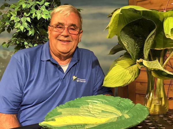 John Bodensteiner and a hosta plant