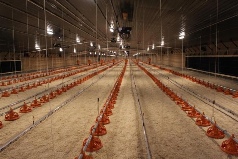 City Council Endorses Plan To Share Sales Tax If New Costco Builds At Mall Illinois Public Media News Illinois Public Media