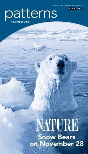 A polar bear sticks her head out of water.
