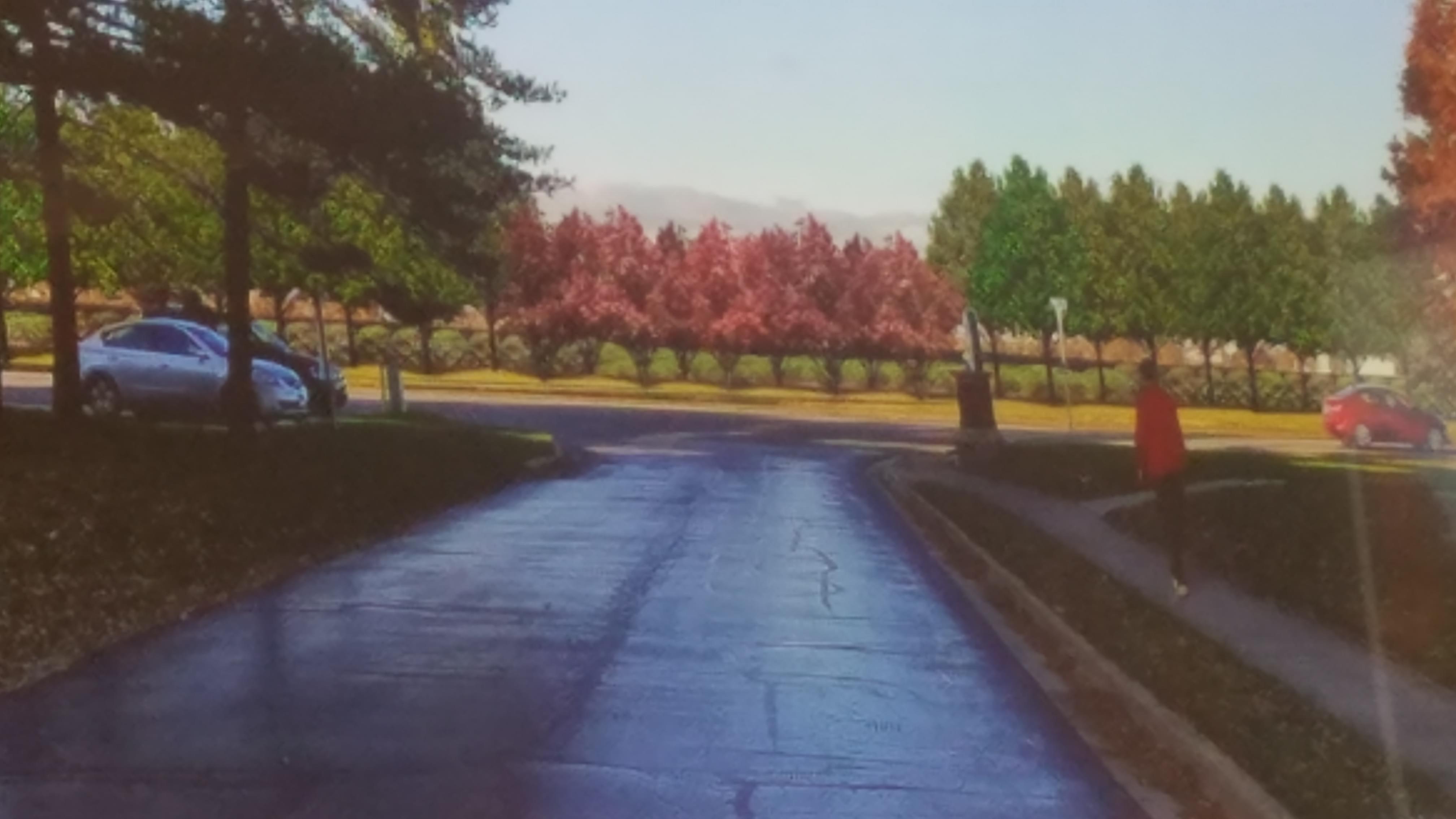 Concept drawing of vegetation buffer in front of planned University of Illinois solar farm.