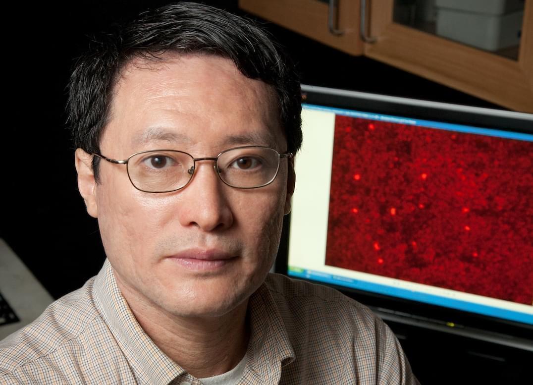 Fei Wang