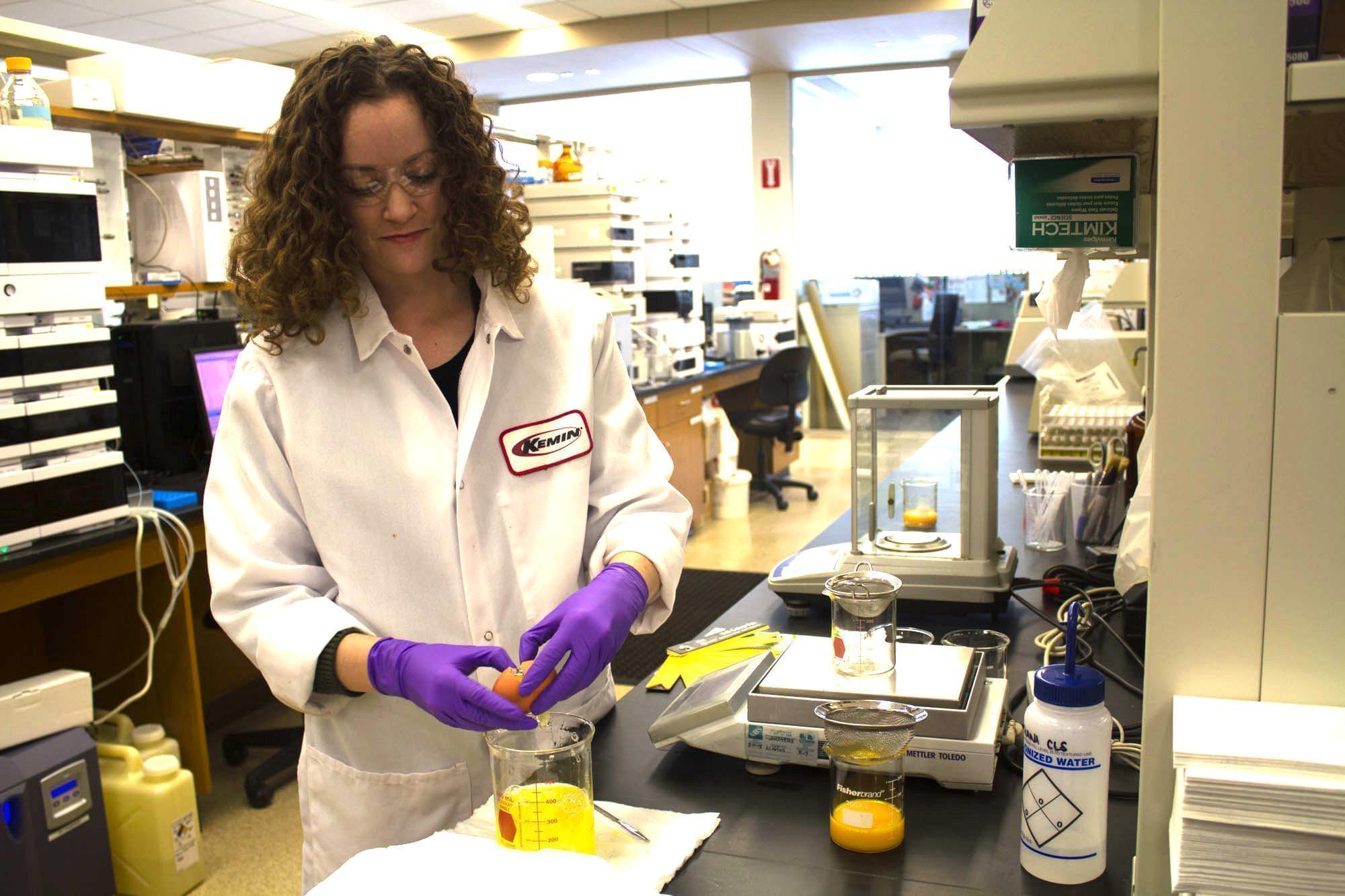 Elsie Rankin, a chemist at Kemin Industries in Des Moines, evaluates egg characteristics. The company is working on a product that could reduce the risk of African swine fever coming into the U.S. via contaminated feed.