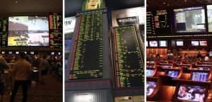 A legal market where the state regulates and taxes sports betting could bring close to $12-billion in wagers, create 2,500 jobs and generate up to $100 million in tax revenue.