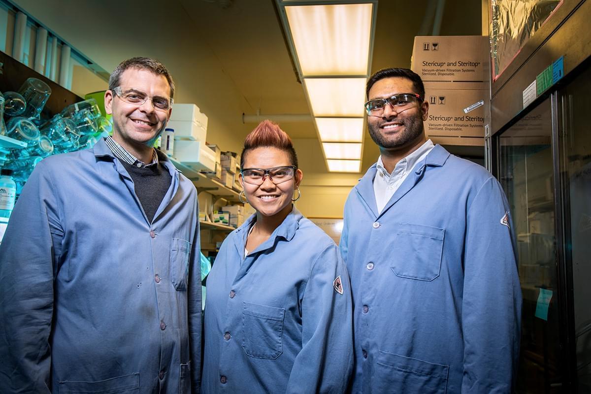 The Illinois team specializes in molecular prosthetics, small molecules that could do the job of missing or deficient proteins. Pictured from left: Professor Martin Burke and graduate students Katrina Muraglia and Rajeev Chorghade.
