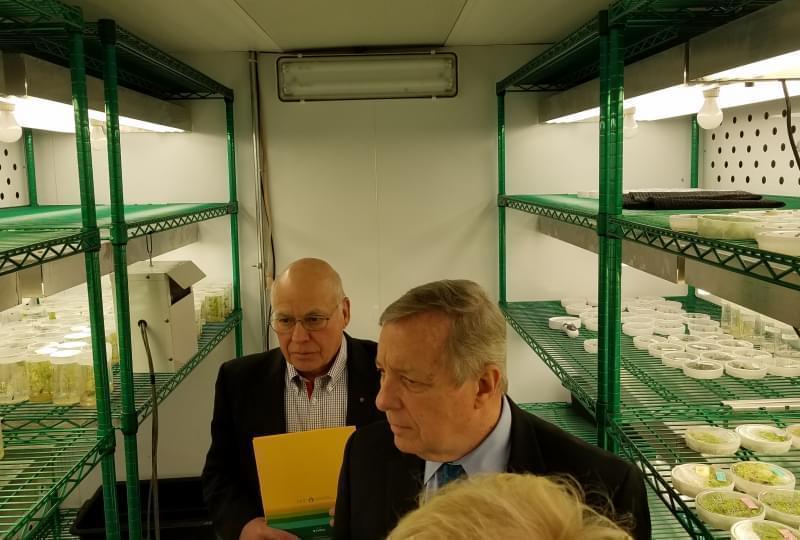 Sen. Dick Durbin tours the RIPE crop science research lab at the University of Illinois.