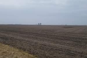 Farm field in Champaign County.