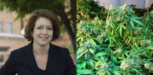 Champaign County State's Attorney Julia Rietz and marijuana plants