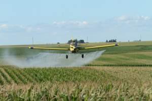 Fleets of specially-equipped planes can spray pesticides on cropland, including this Air Tractor owned by Meyer Agri-Air in Wellsburg, Iowa.