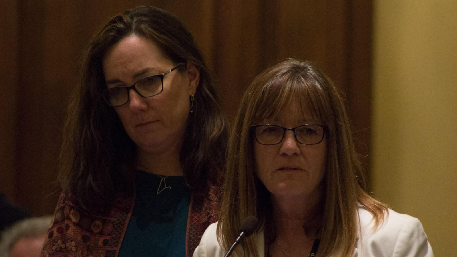 State Rep. Kelly Cassidy, left, stood behind Sen. Melinda Bush as she presented the Reproductive Health Act to the Illinois Senate on Friday.