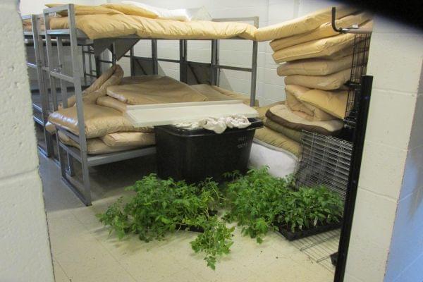 The DuQuoin Impact Incarceration Program can hold up to 300 men. In early May, there were just 28. One of the facility's dorms acts as a storage room for used bunk beds and mattresses.