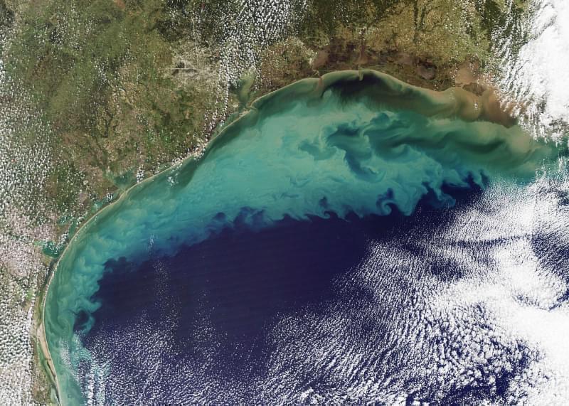 Rivers draining into the Gulf of Mexico carry nutrients from fertilizers, contributing to blooms of phytoplankton seen here. (Nov. 13, 2009 photo)