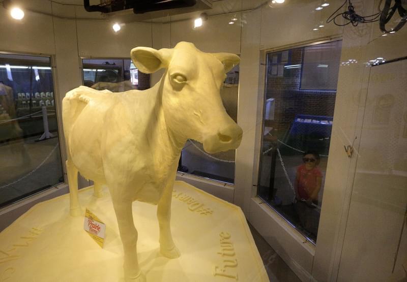 Visitors view the Illinois State Fair Butter Cow designed by Sarah Pratt after the Twilight Parade at the Illinois State Fair Thursday, Aug. 11, 2016, in Springfield, Ill.