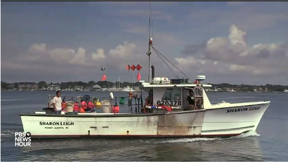 The lobster boat Sharon Leigh in the Gulf of Maine.