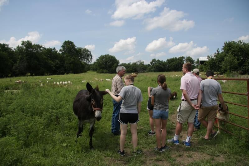 Health professions and medical students from the University of Missouri tour the Maplewood Acres Farm in Sedalia, Missouri.