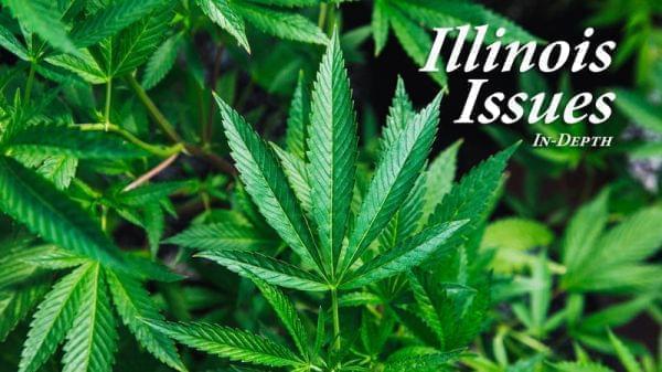 What We Know About Marijuana, Featured Topics