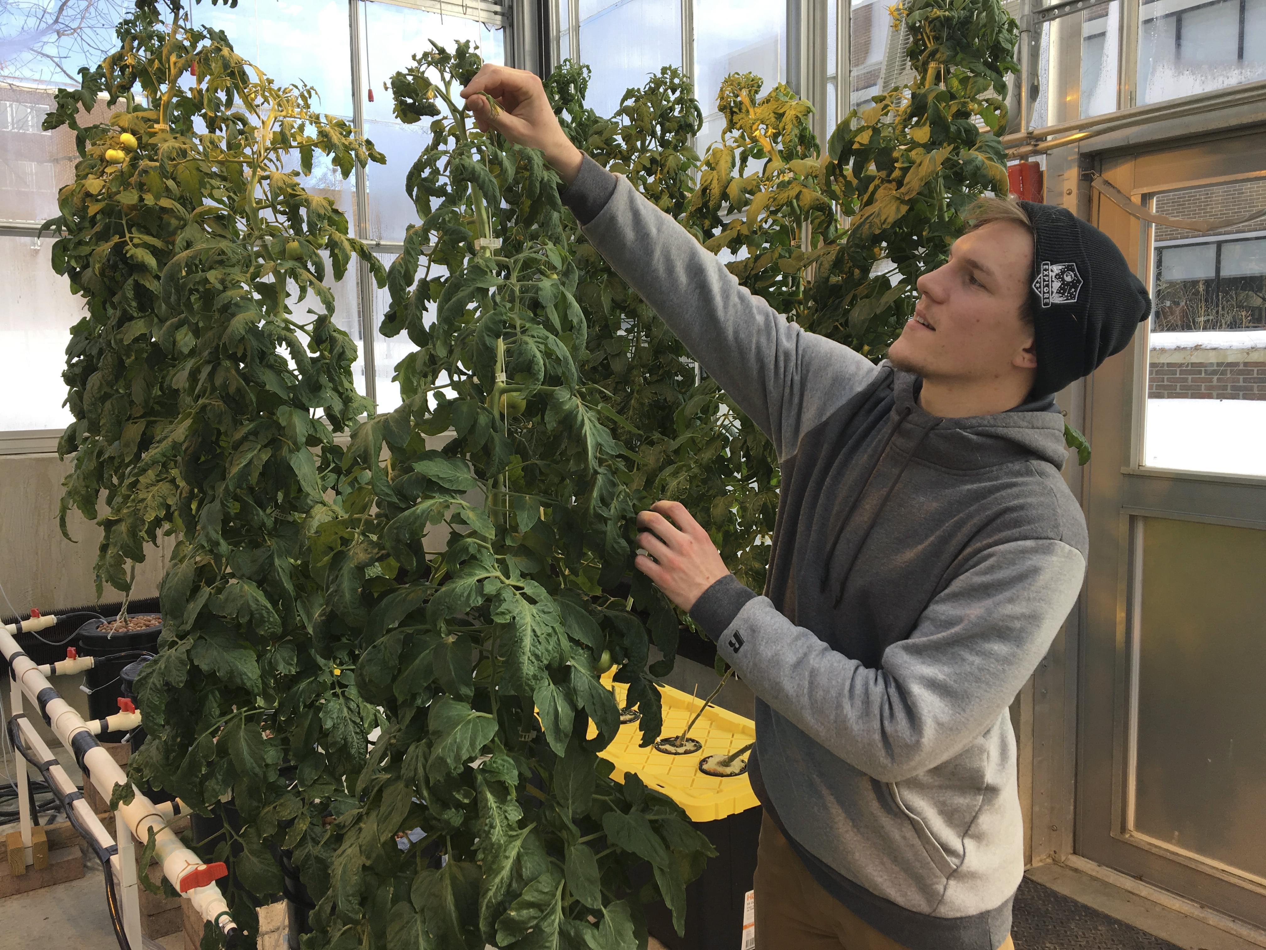 student in cultivation center