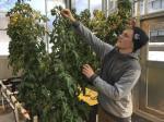 student in cultivation center