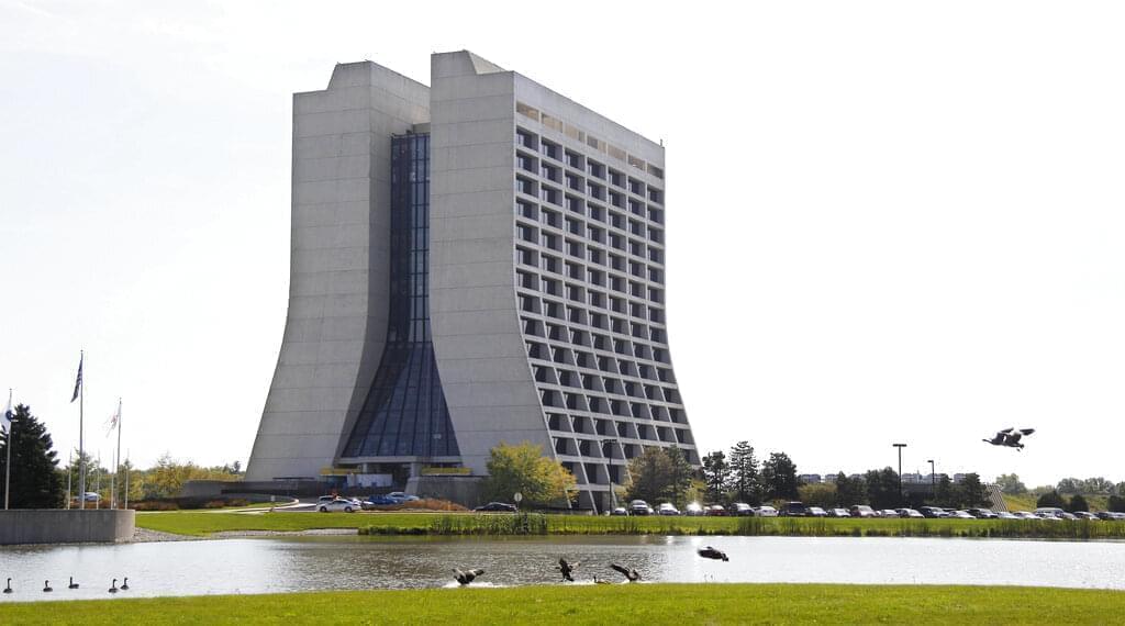 Geese gather outside the main building at the Fermi National Accelerator Laboratory in Batavia, Ill. on Tuesday, Sept. 20, 2011.