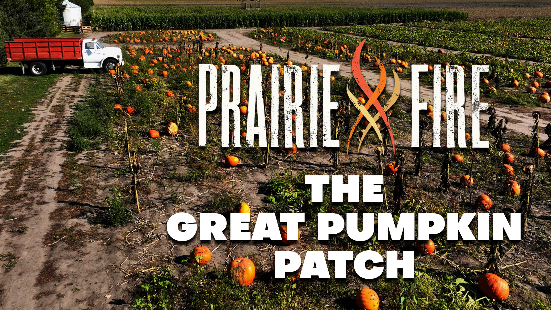 The Great Pumpkin Patch Prairie Fire Illinois Public Media