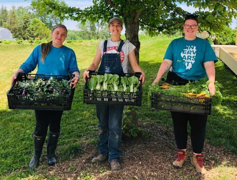 The FarmFED Cooperative is fundraising to build a processing facility to sell local produce in bulk.