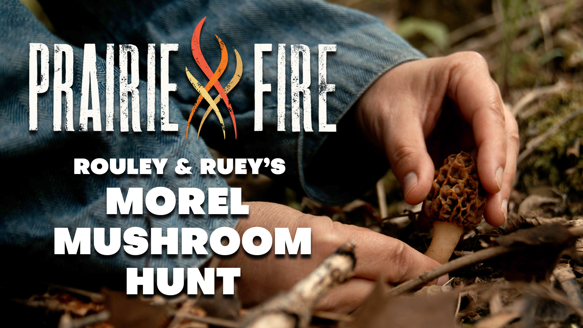 Rouley & Ruey Morel Mushroom Hunt Prairie Fire Illinois Public Media