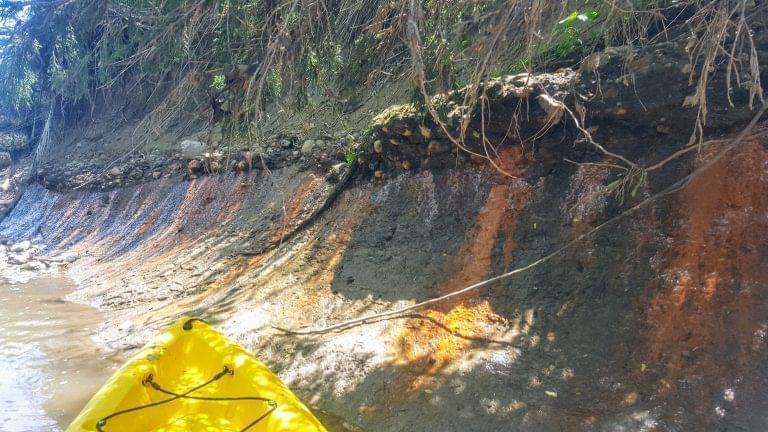 The bank of the Middle Fork of the Vermilion River near Oakwood, with staining due to runoff from groundwater polluted by coal ash from nearby retention ponds.